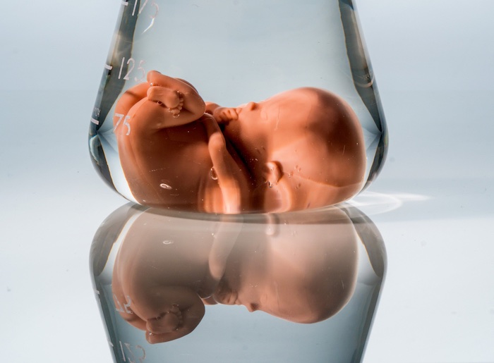 embryo donation