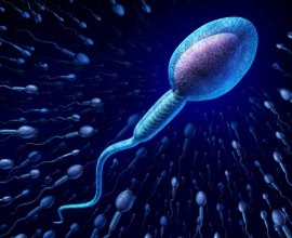 Die Fruchtbarkeit steigern – die Spermienqualität verbessern